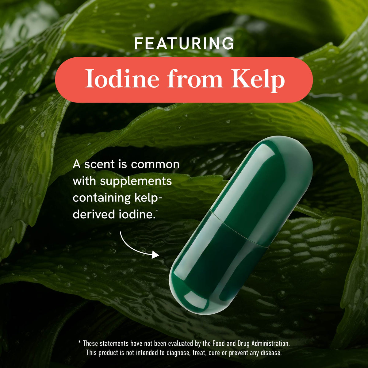 Thyroid Support for Women Capsules