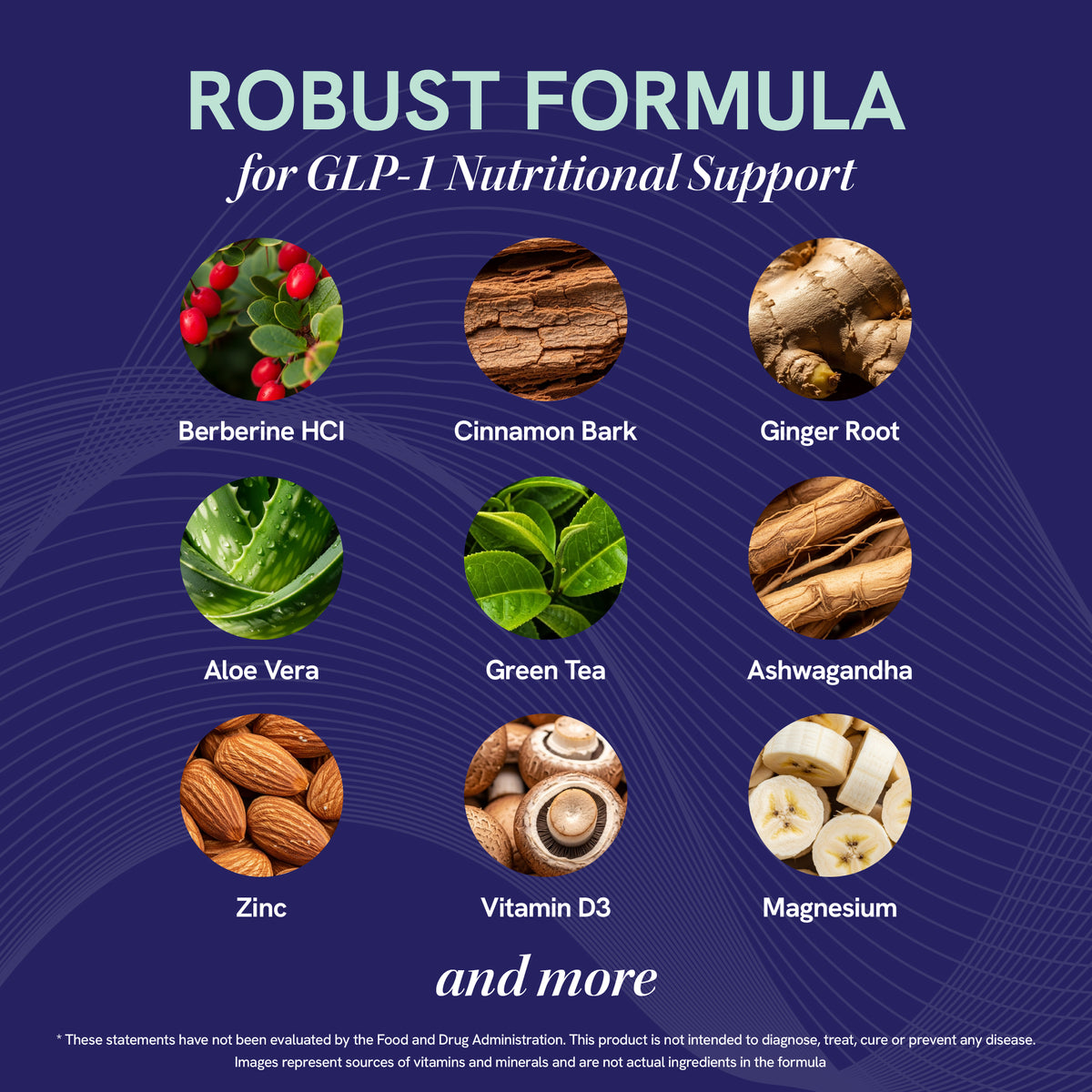 GLP-1 Support Capsules