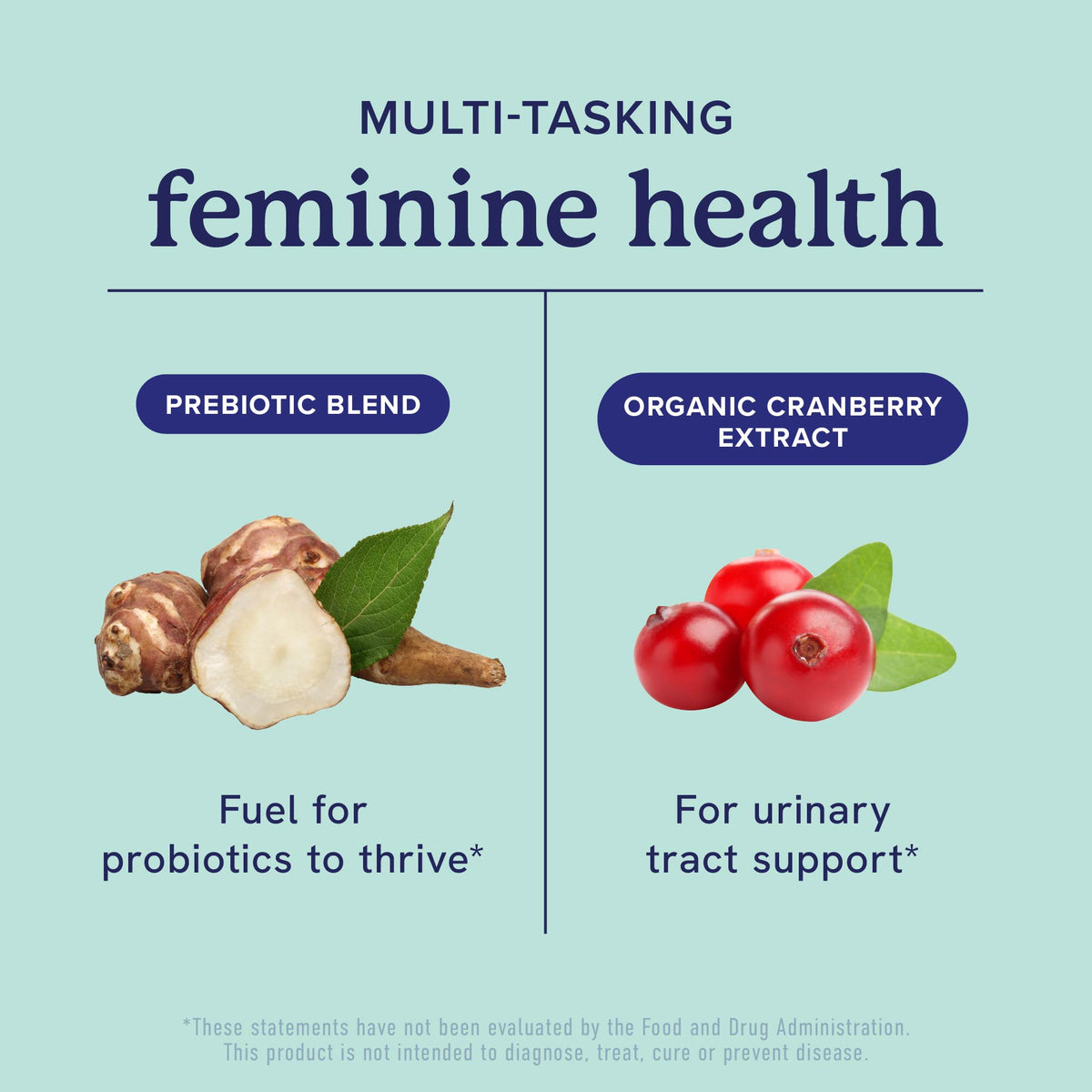Vaginal Probiotic Capsules