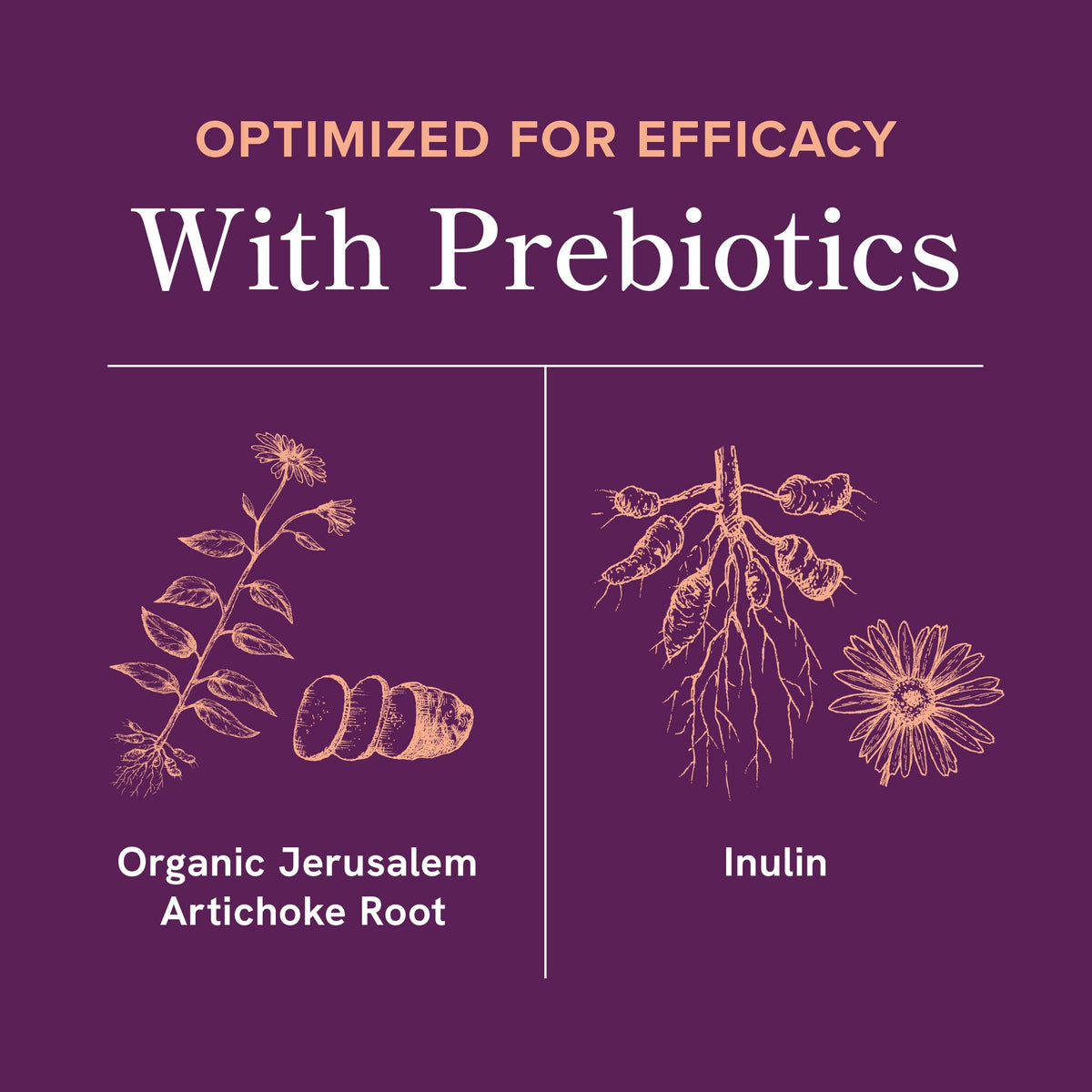 Menopause Support Probiotic Capsules