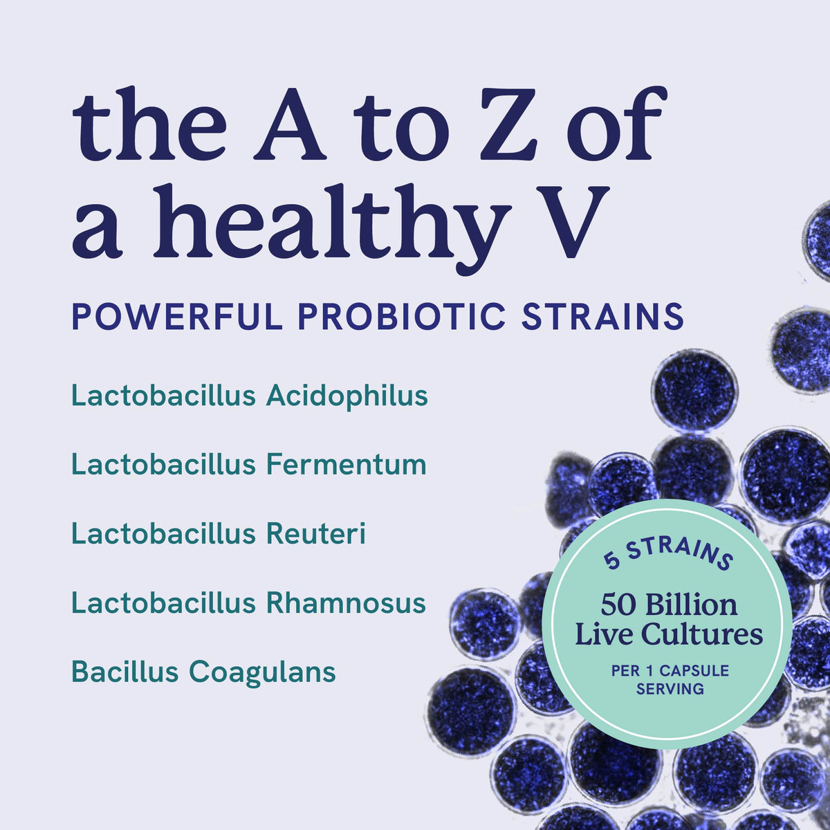 Vaginal Probiotic Capsules