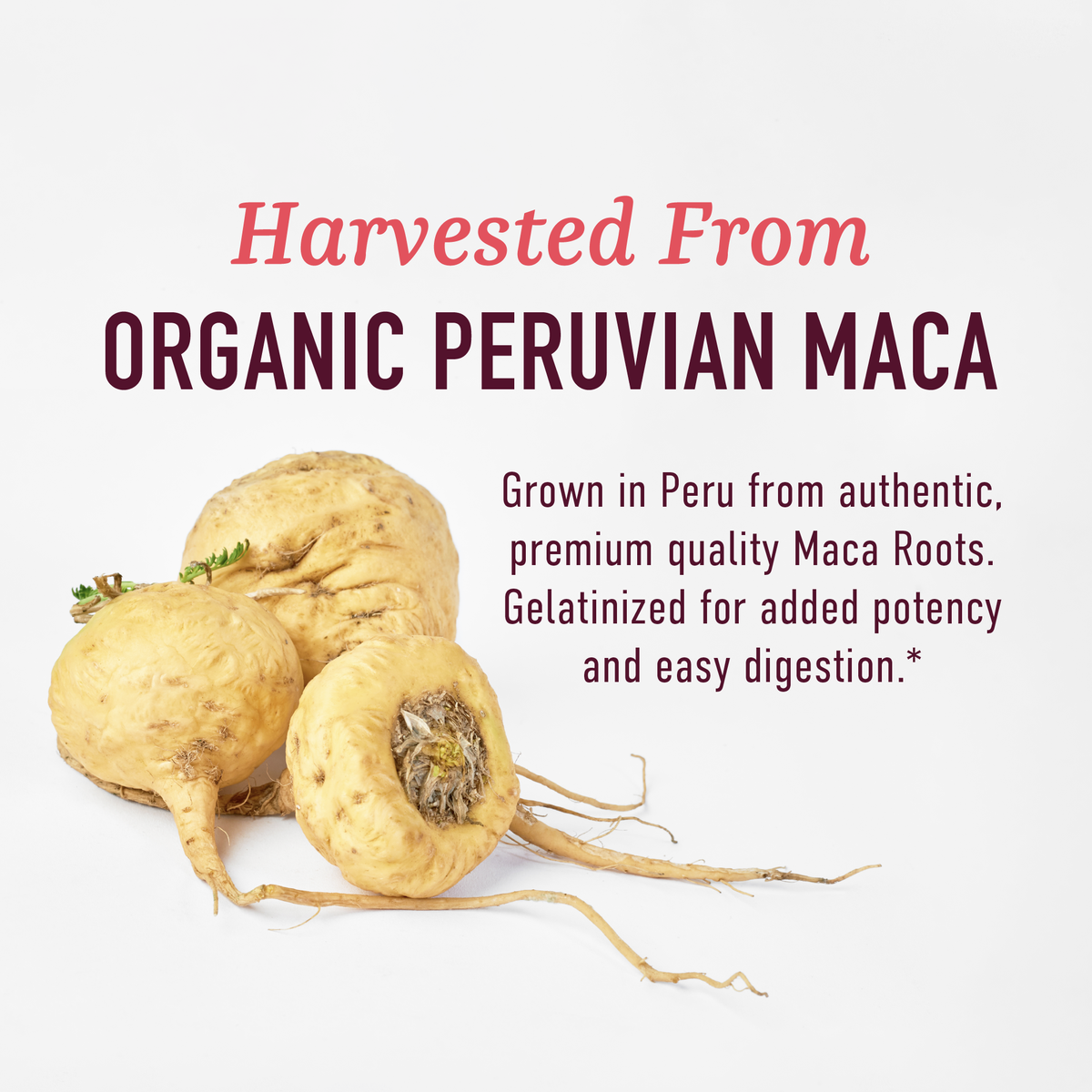 Organic Maca Root 2250MG - 40 Servings