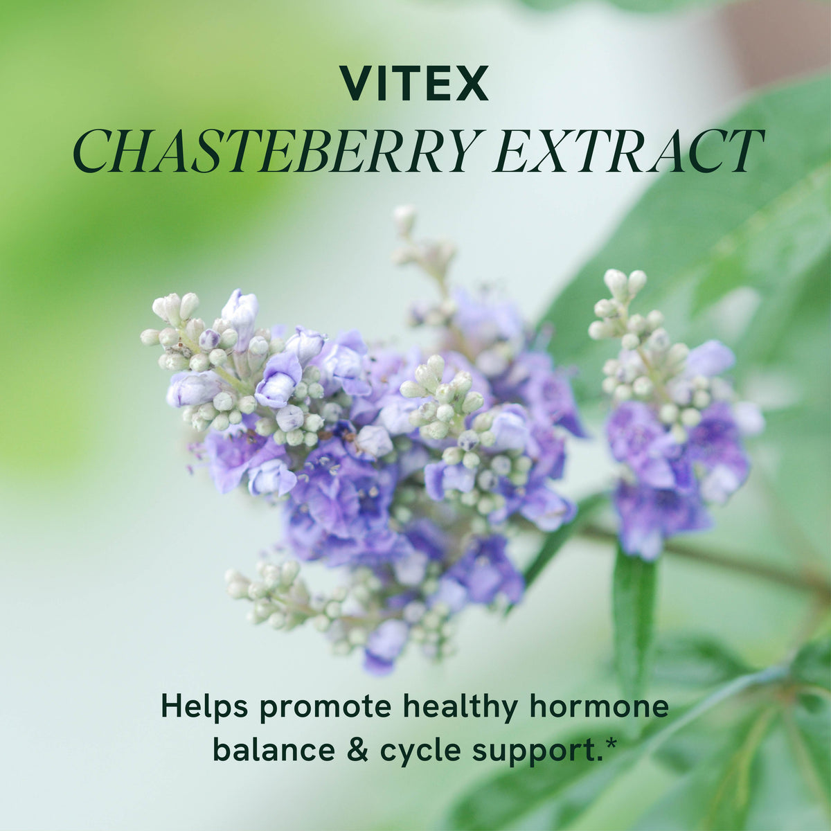 Vitex, 90 Capsules, 600mg Servings