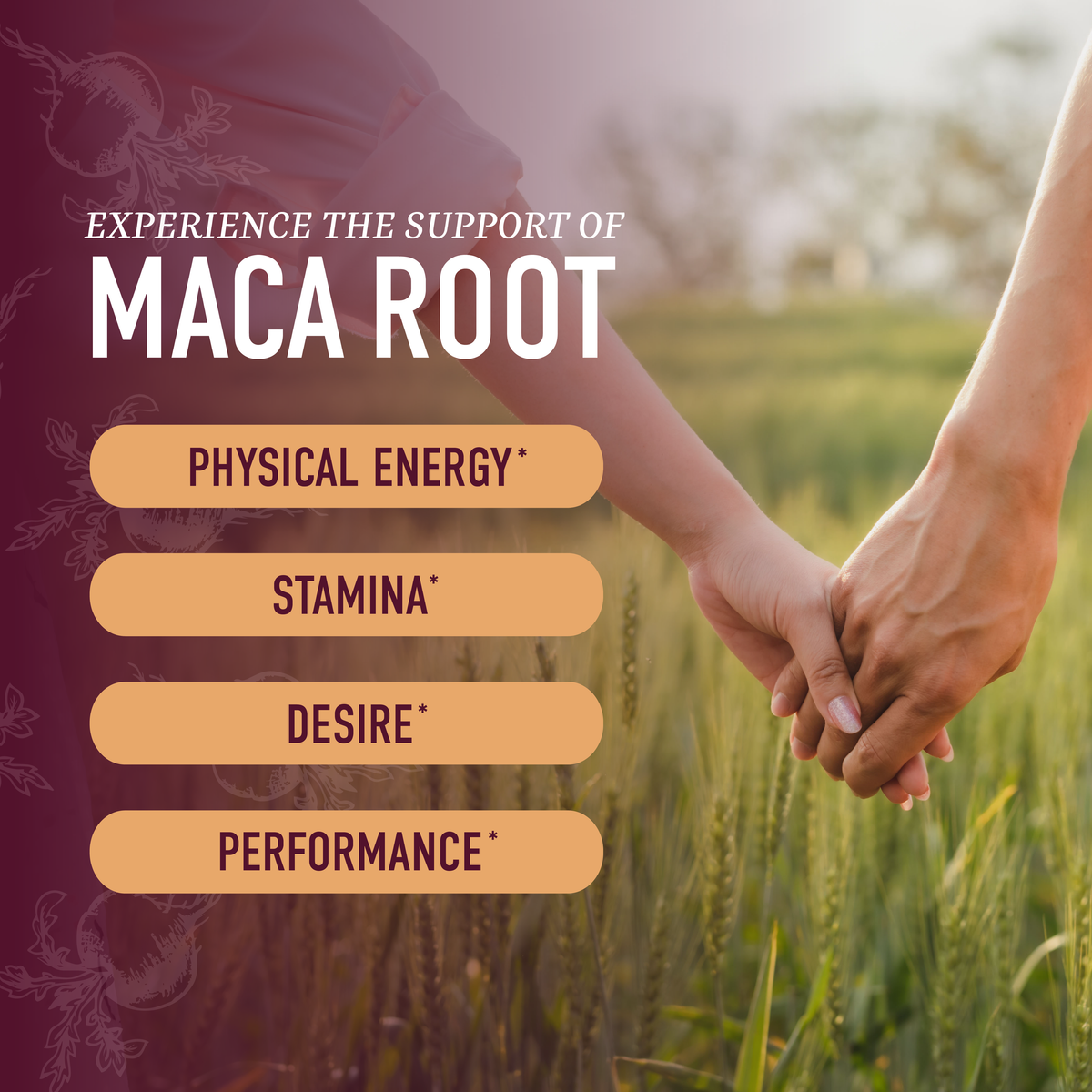 Maca Gummies