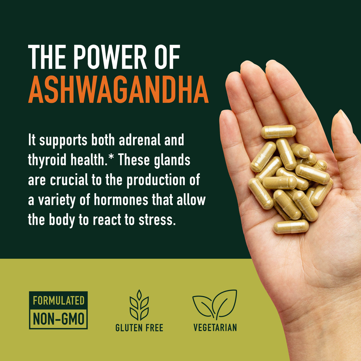Ashwagandha Capsules