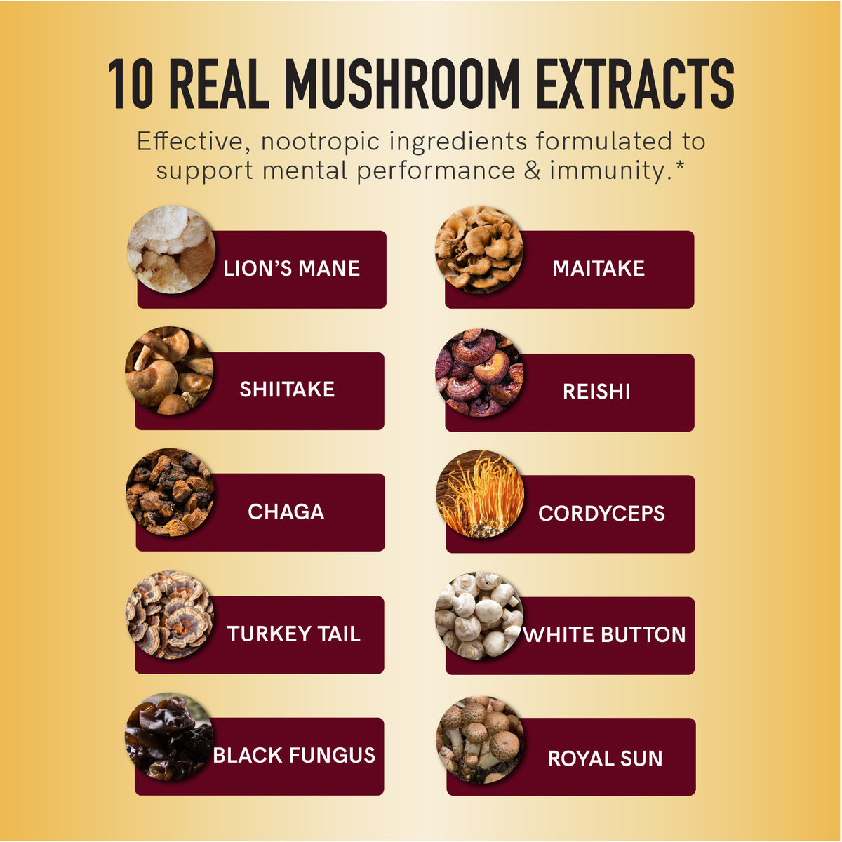 Mushroom Gummies