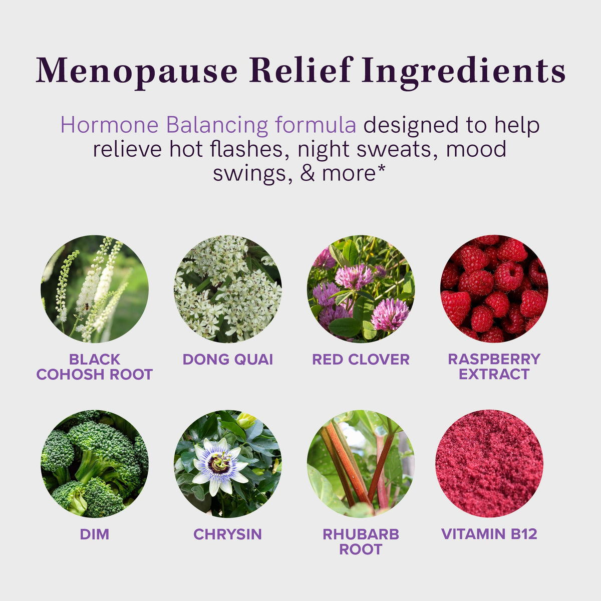 Menopause Support Complex, 60 Capsules - SMNutrition
