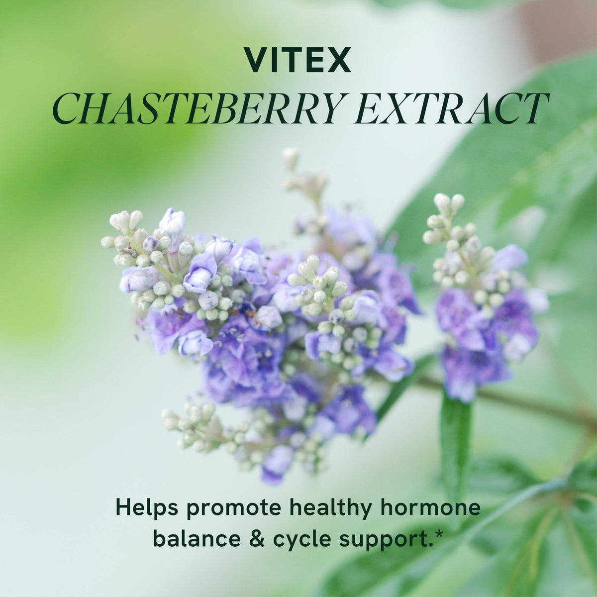 Vitex, 90 Capsules, 600mg Servings - SMNutrition