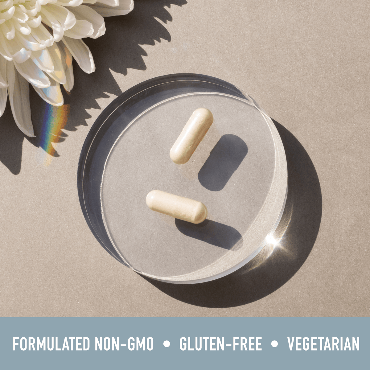Calcium D Glucarate 500mg, 90 Capsules - SMNutrition